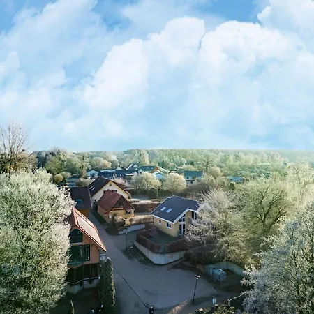 Im Skandinavischen Stil Гранцов